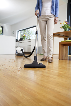 Пылесос с аквафильтром Karcher DS 6000 Mediclean (1.195-202.0) 1.195-202.0