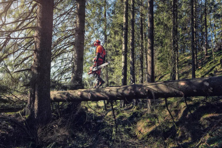 Цепные пилы