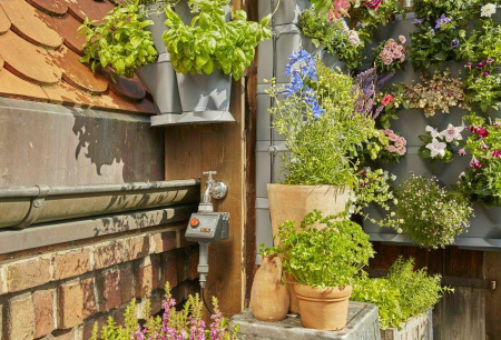 Домашнее садоводство