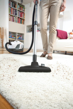 Пылесос Karcher DS 6 Premium Plus 1.195-252.0