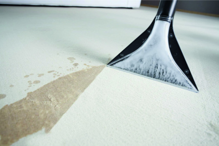 Моющая насадка для ковров для пылесосов Karcher SE 9.012-276.0