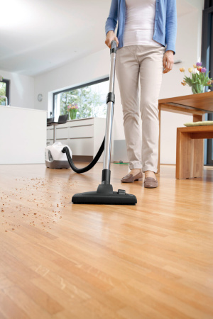 Пылесос Karcher DS 6 Premium Plus 1.195-252.0