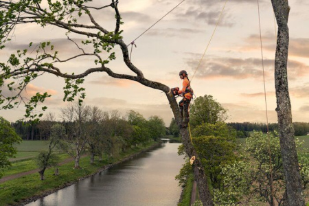 Цепные пилы