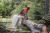 Цепь Husqvarna 16" 0,325" 1.5 66DL C35 X-Cut 581 69 97-66