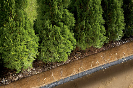 Автоматические системы полива