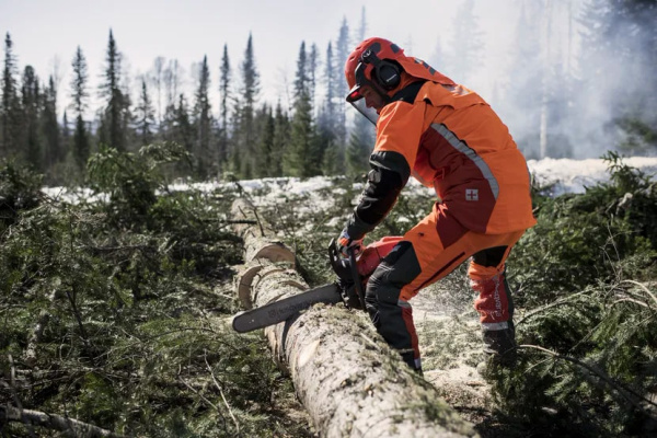Бензопила Husqvarna 565 18" 966 73 39-18 Цепные пилы