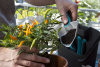 Комплект садовых инструментов Gardena для балкона 