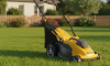 Газонокосилки и сенокосилки