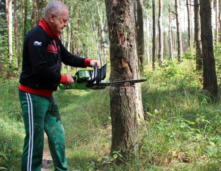 Цепная пила аккумуляторная Greenworks 40V GD40CS18K2 (1хАКБ 2Ач и ЗУ) 40см 2005807UA Цепные пилы