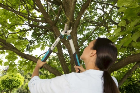 Сучкорезы и высоторезы