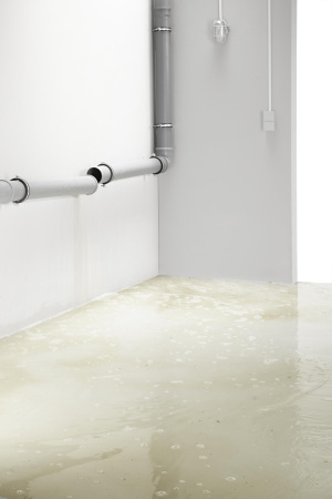 Пылесос хозяйственный Karcher WD 7.500 1.347-600.0