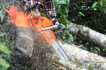 Цепные пилы