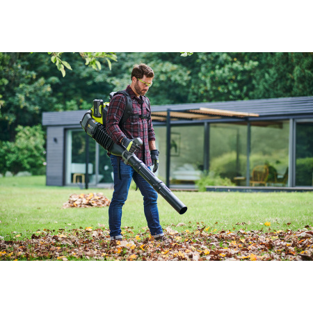 Садовые пылесосы, воздуходувки