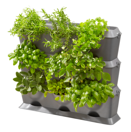 Домашнее садоводство