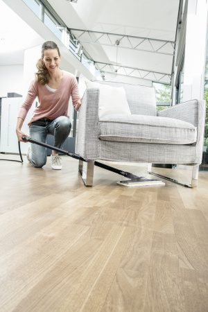 Пароочиститель Karcher SC 4 EasyFix Premium Iron (white) 1.512-489.0 Пароочиститель Karcher SC 4 EasyFix Premium Iron (white) 1.512-489.0