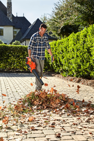 Садовые пылесосы, воздуходувки