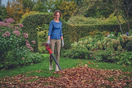 Садовые пылесосы, воздуходувки