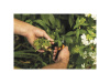 Ножницы для цветов SP13 FISKARS 1051600 Ножницы для цветов SP13 FISKARS 1051600