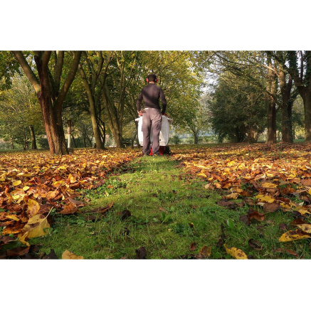 Садовые пылесосы, воздуходувки