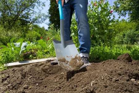 Садовые лопаты и вилы