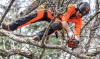 Бензопила Husqvarna T525 10" 3/8 1.3 40DL S93G HSM 970 73 73-10 Цепные пилы
