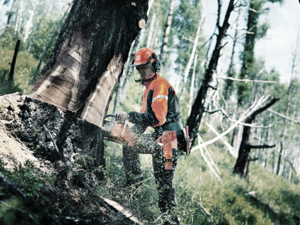 Бензопила Husqvarna 450 II 970 55 93-35 Цепные пилы