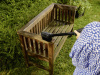 Ручная щетка Karcher WB 24