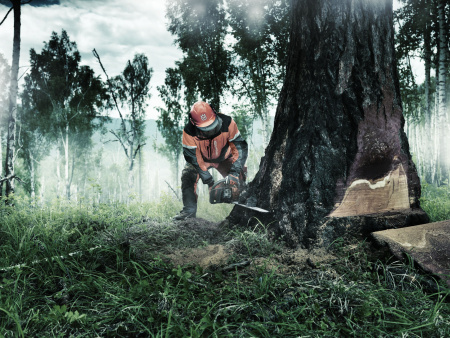 Бензопила Husqvarna 372 XP 965 70 29-18 Цепные пилы