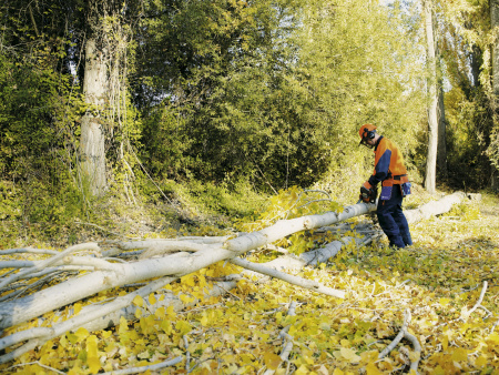 Цепные пилы