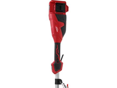 Триммер аккумуляторный WORTEX TB 3036-1 ALL1 XLT SOLO (без АКБ и ЗУ) 1334871