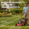 Газонокосилки и сенокосилки
