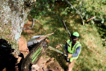 Сучкорезы и высоторезы