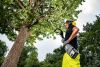 Насадка на мультитул Цепная пила Karcher MT CS 250/36